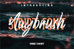 Font Choice That Stands Out: Why I Chose Naybrushy for My Web Project
