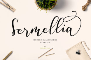 Font That Speaks Your Brand: Sermellia for Small Business Success