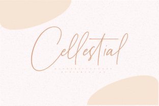 How Cellestial Transformed My Bakery’s Brand