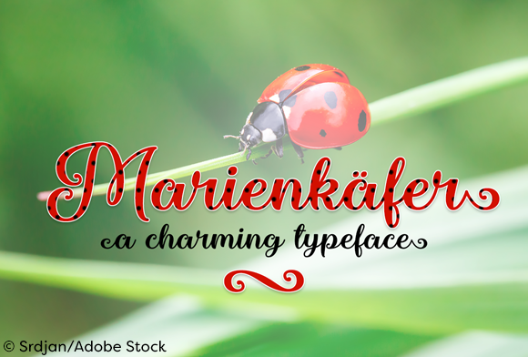Marienkaefer: A Script Font for Editorial Elegance