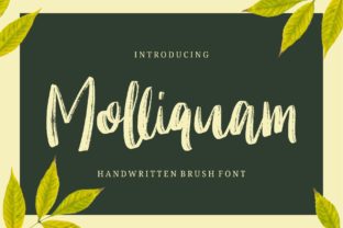 Molliquam Script Font Review