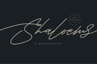 Shaloems: The Font That Adds Spark to Your Campaigns
