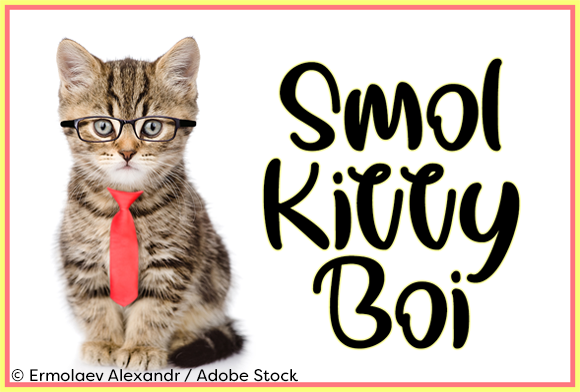 Smol Kitty Boi: A Playful Font for Handmade Creations