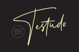 Testudo: A Handwritten Font That Breathes Life Into Branding